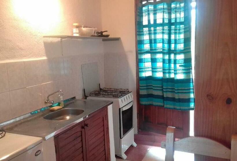 스탠다드 스튜디오, Mini Apartamentos