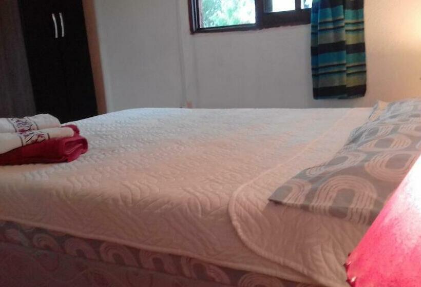 استودیوی استاندارد, Mini Apartamentos