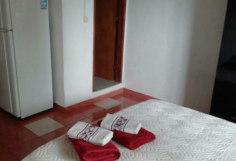 استودیوی استاندارد, Mini Apartamentos