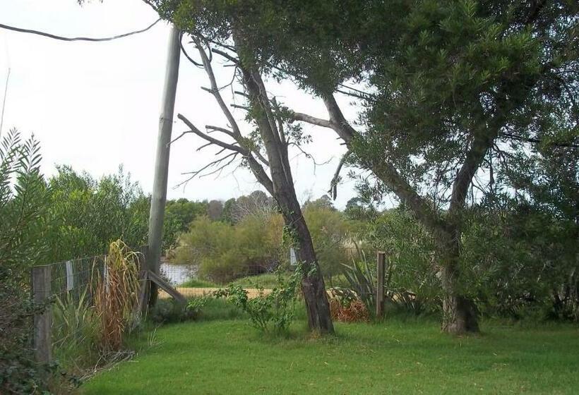 استودیوی استاندارد, Mini Apartamentos