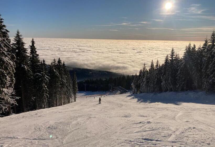 غرفة عائلية, Apartments Svatý Mikuláš, Janské Lázně   New Since December 2022