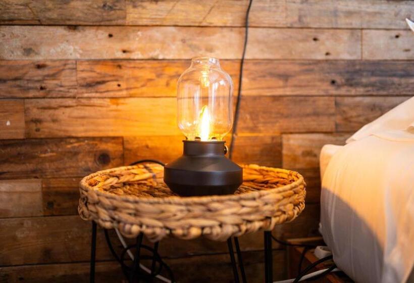 غرفة قياسية ثلاثية, Alex Surf Hostel