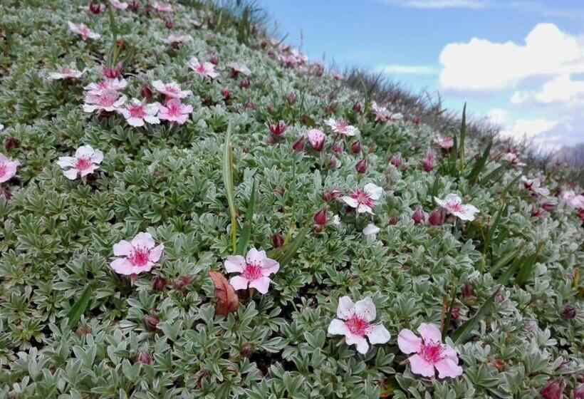 Номер Стандарт, Villa Rier