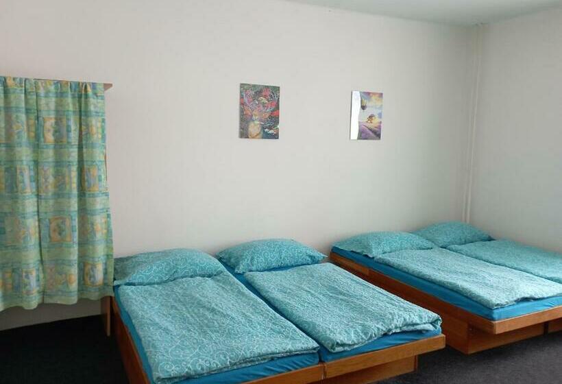 غرفة قياسية رباعية حمام مشترك, Penzion Hraničář