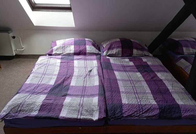 غرفة قياسية حمام مشترك, Penzion Hraničář