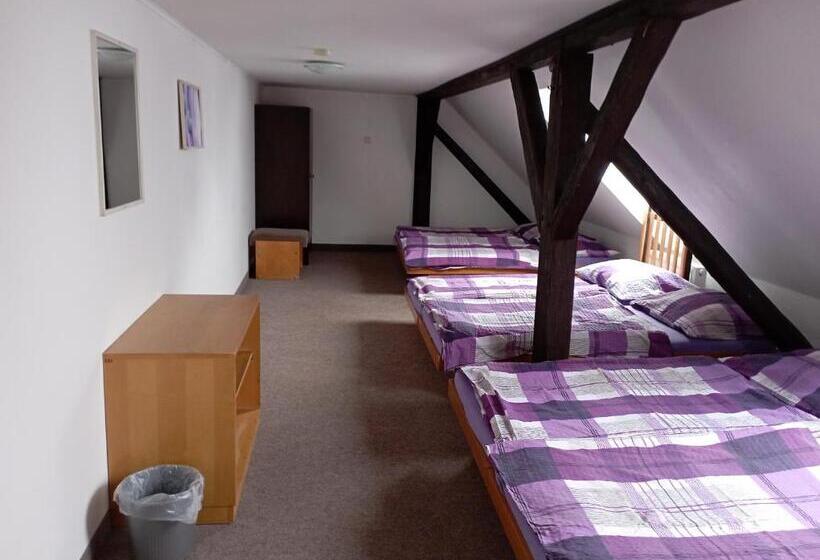 غرفة قياسية حمام مشترك, Penzion Hraničář