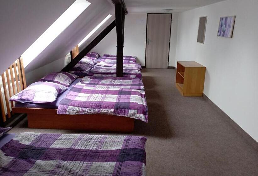 غرفة قياسية حمام مشترك, Penzion Hraničář