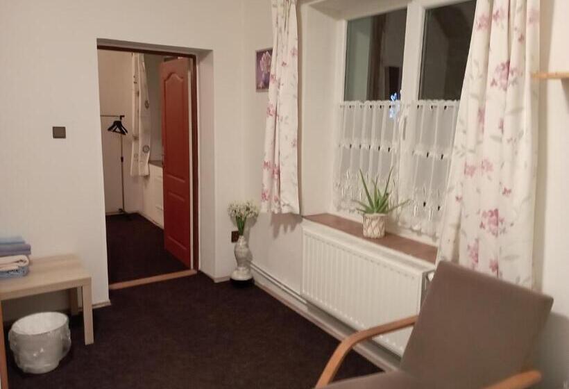 غرفة قياسية, Penzion Hraničář