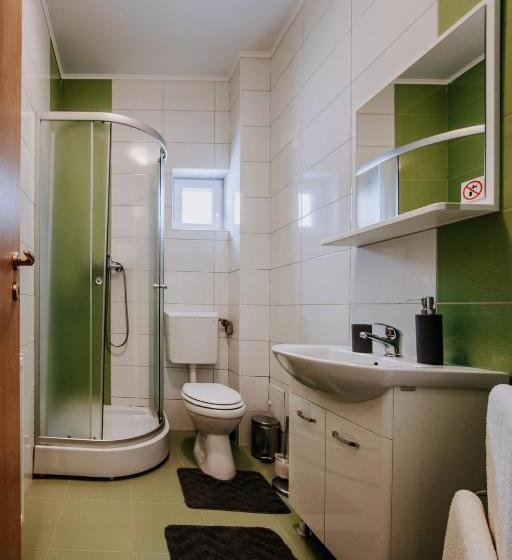 غرفة قياسية, Vila Paltinis