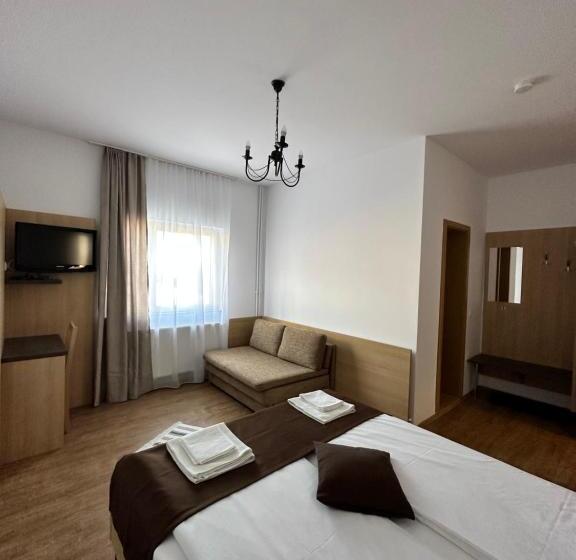 غرفة قياسية, Vila Paltinis