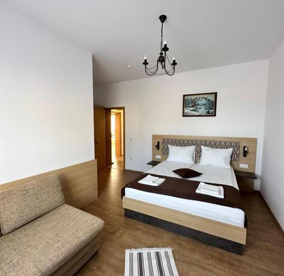 غرفة قياسية, Vila Paltinis