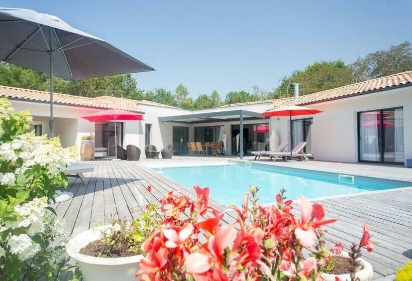 غرفة قياسية سرير كينج, Dune Et Coquelicot