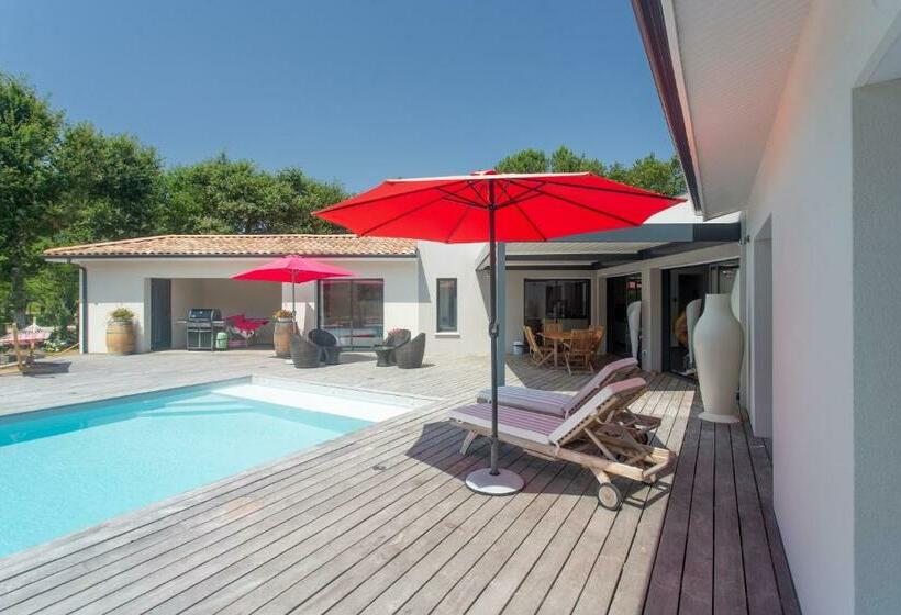 غرفة قياسية سرير كينج, Dune Et Coquelicot