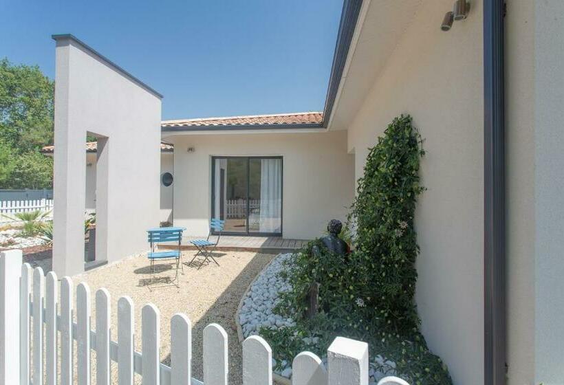 غرفة قياسية سرير كينج, Dune Et Coquelicot