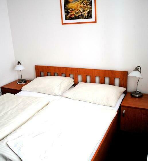 스탠다드 룸, Allvet