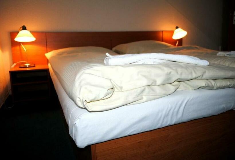 스탠다드 룸, Allvet