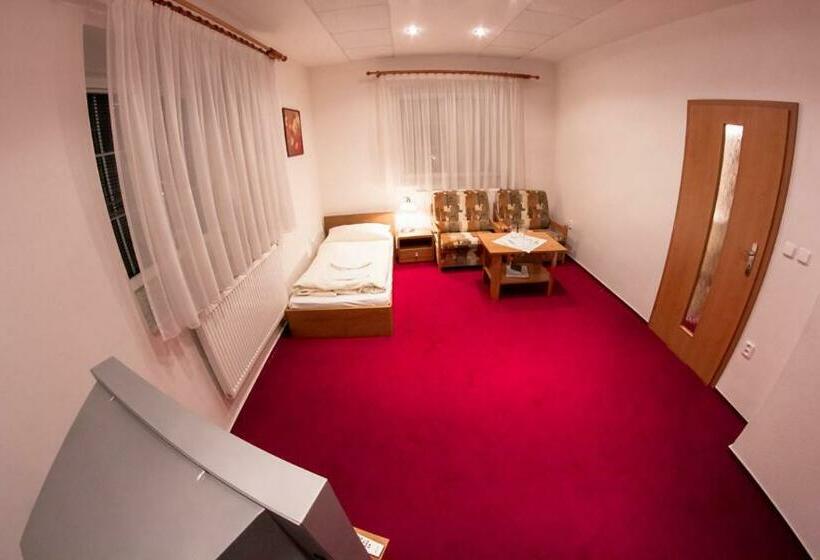 스파 이용가능한 스탠다드 룸, Allvet