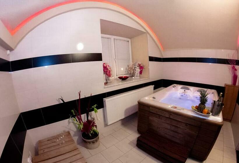 스파 이용가능한 스탠다드 룸, Allvet