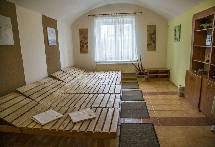 스파 이용가능한 스탠다드 룸, Allvet