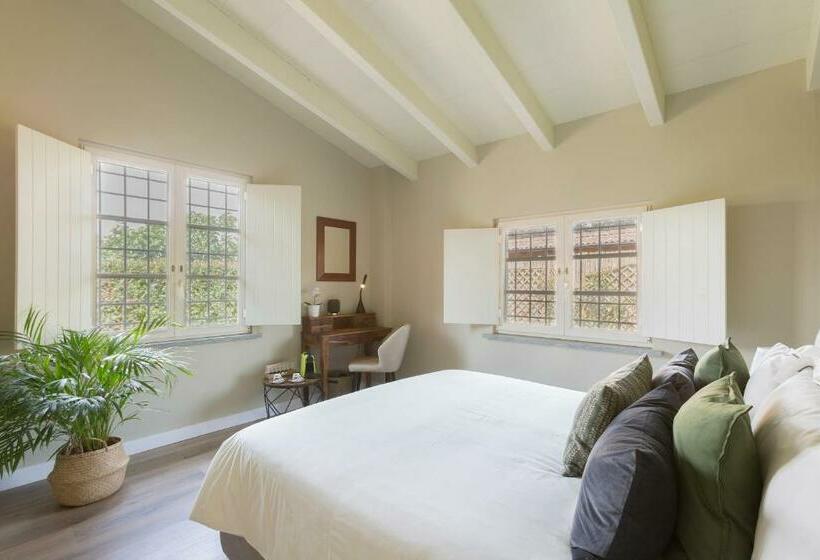 חדר סופריור, White Tail Organic Farm