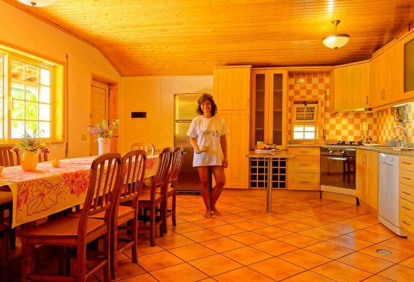 فيلا 3 غرف نوم, Zen Vouga