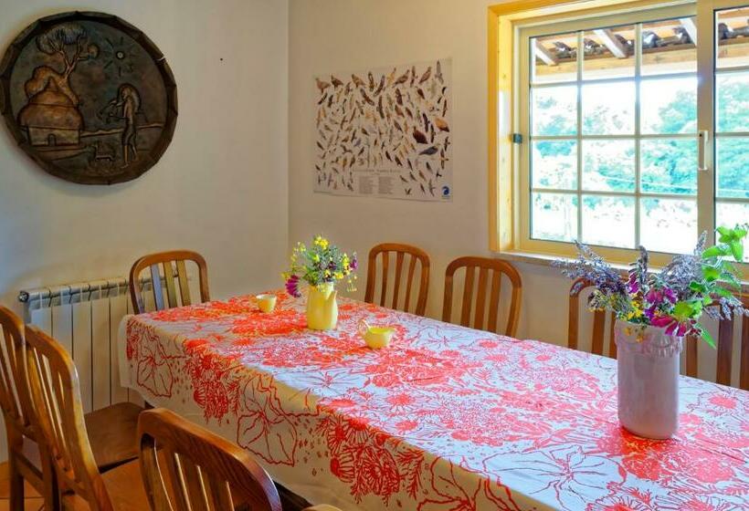 فيلا 3 غرف نوم, Zen Vouga