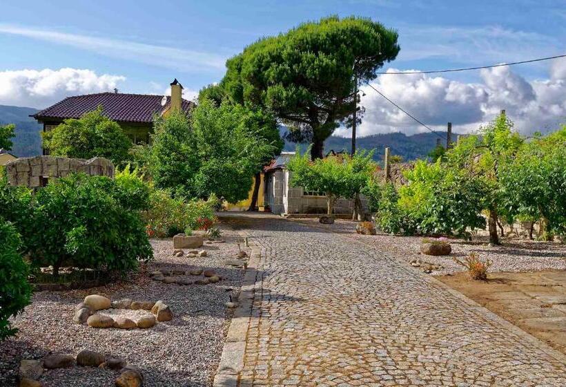 فيلا 3 غرف نوم, Zen Vouga