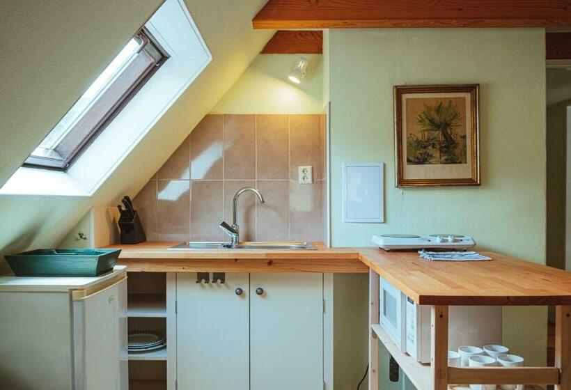 Апартаменты 2 Спальни, Pension Rokytka