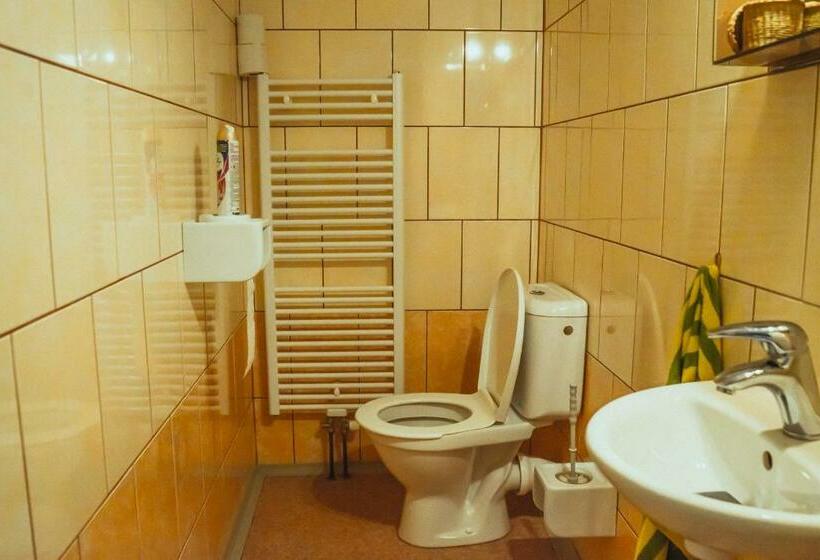 Номер Стандарт Совместная Ванная, Pension Rokytka