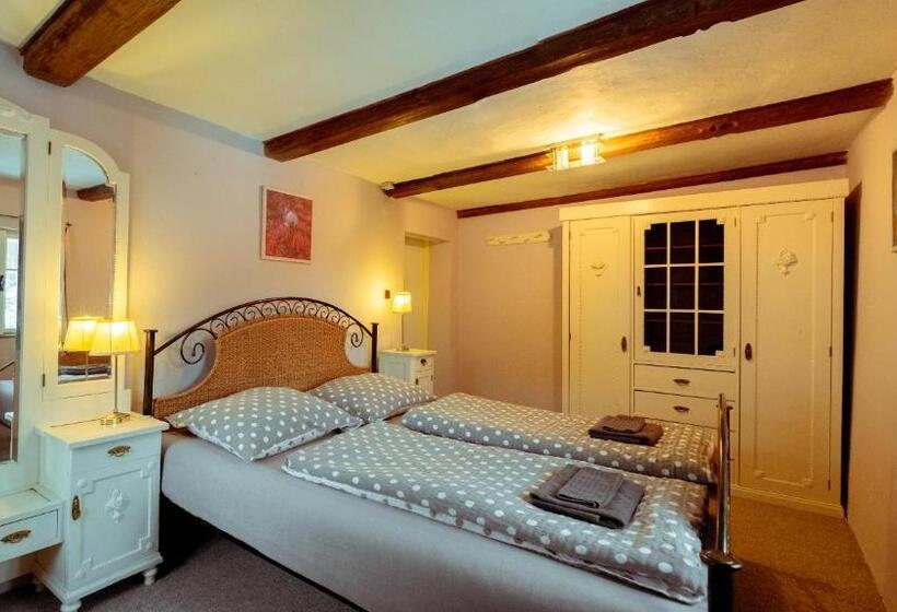 Апартаменты 3 Спальни, Pension Rokytka