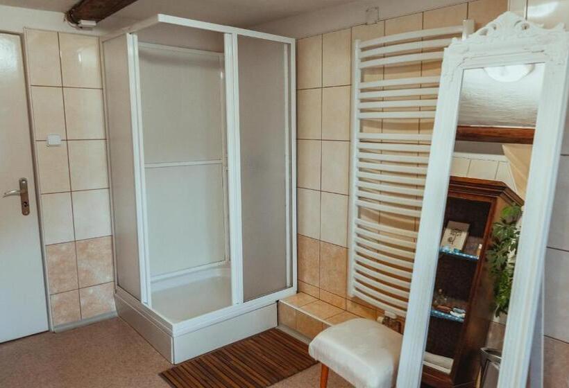 Апартаменты 3 Спальни, Pension Rokytka