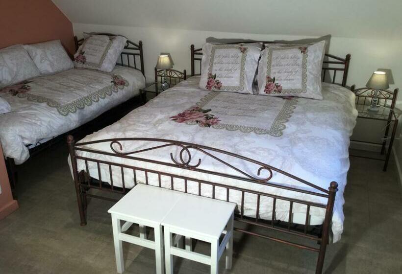 Номер Стандарт, B&b 22