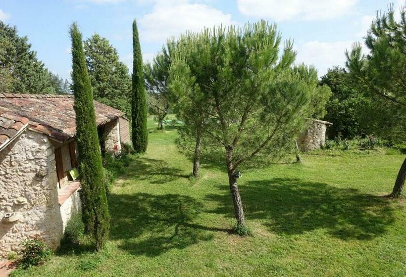 带大床的标准间, Brin De Cocagne