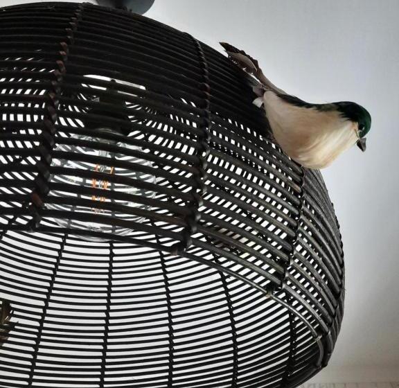 Номер Стандарт, Smiling Places Guest House In Labruge