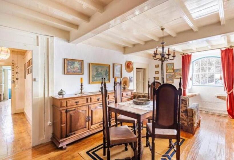 סוויטה, Solar Dos Carvalhos