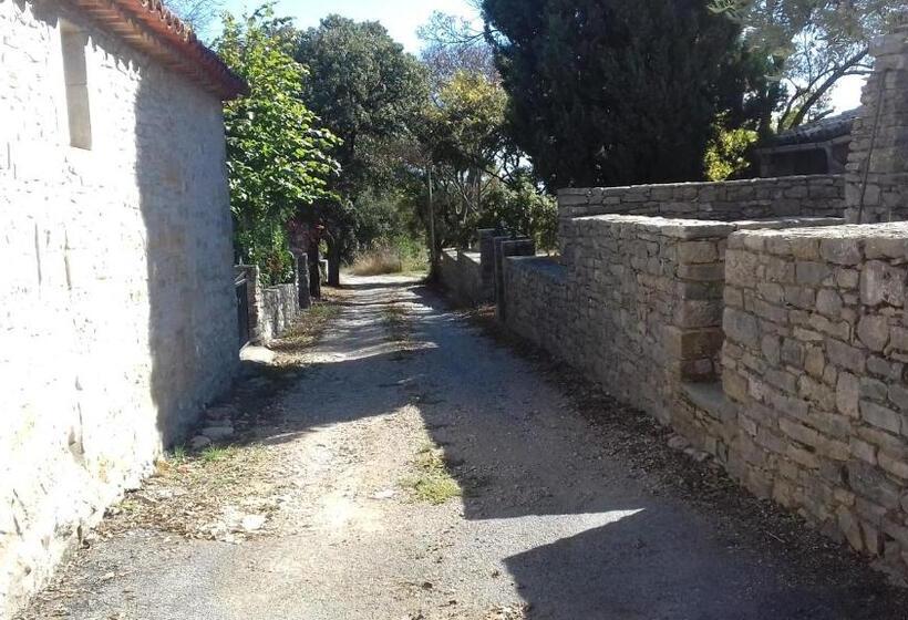Номер Стандарт, Un Nid Entre Vignes Et Pierres Pic St Loup