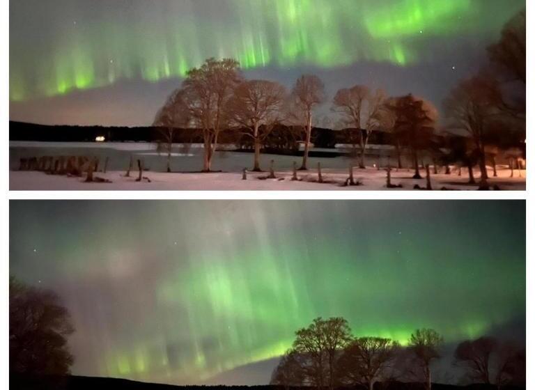 Семейный Номер, Svaneholm