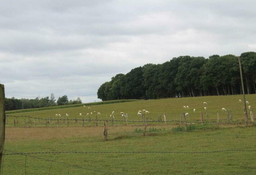 חדר סטנדרט חדר אמבטיה משותף, Ferme Des Champs