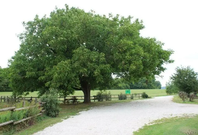 バス共有のスタンダードルーム, Ferme Des Champs