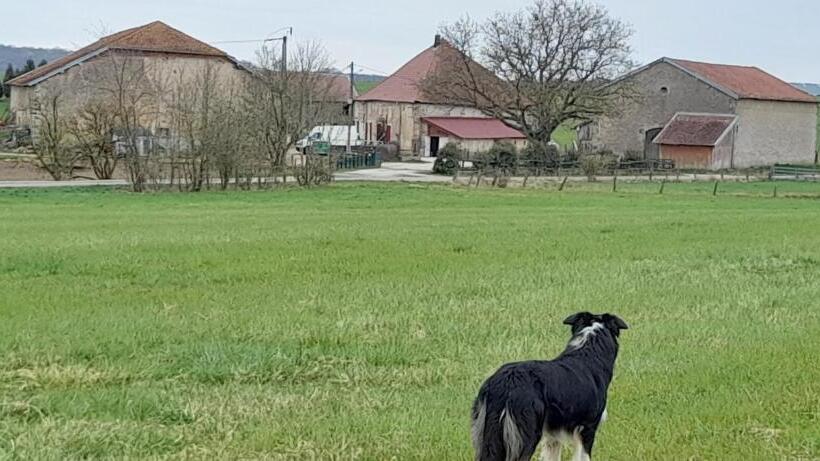 Номер Стандарт Совместная Ванная, Ferme Des Champs