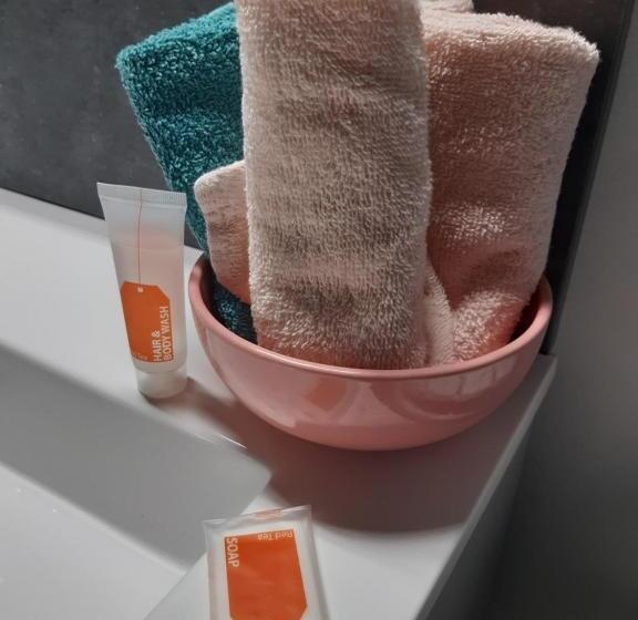 חדר סטנדרט חדר אמבטיה משותף, Ferme Des Champs