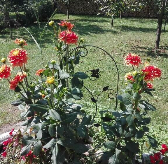 デラックスルーム, Kalotaszeg Vendégház