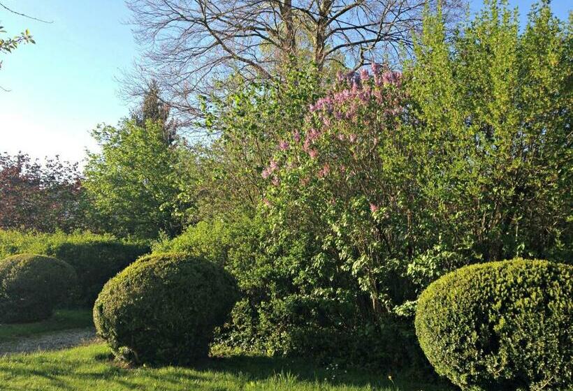 סוויטת ג'וניור, Sous Le Cerisier