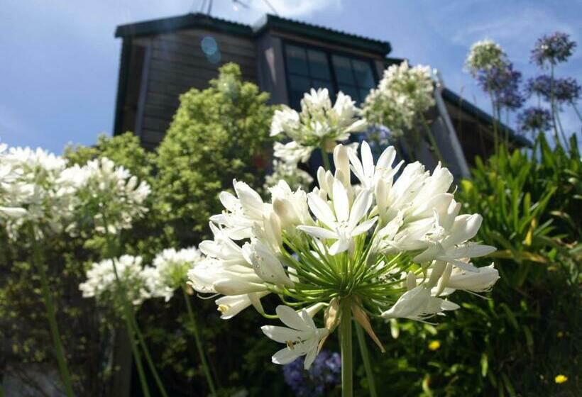 בקתת חדר, Grafton Cottage & Chalets