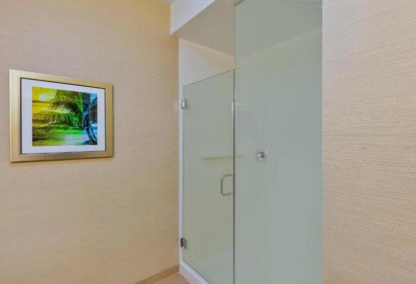 Студио Стандарт Кровать Кинг, Fairfield Inn & Suites Riverside Corona/norco