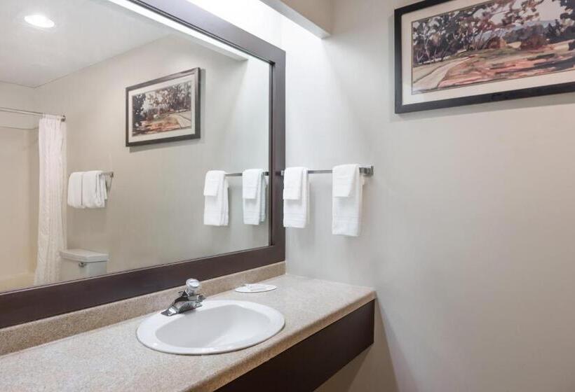 스탠다드 룸 킹사이즈 침대, Knights Inn Jacksonville