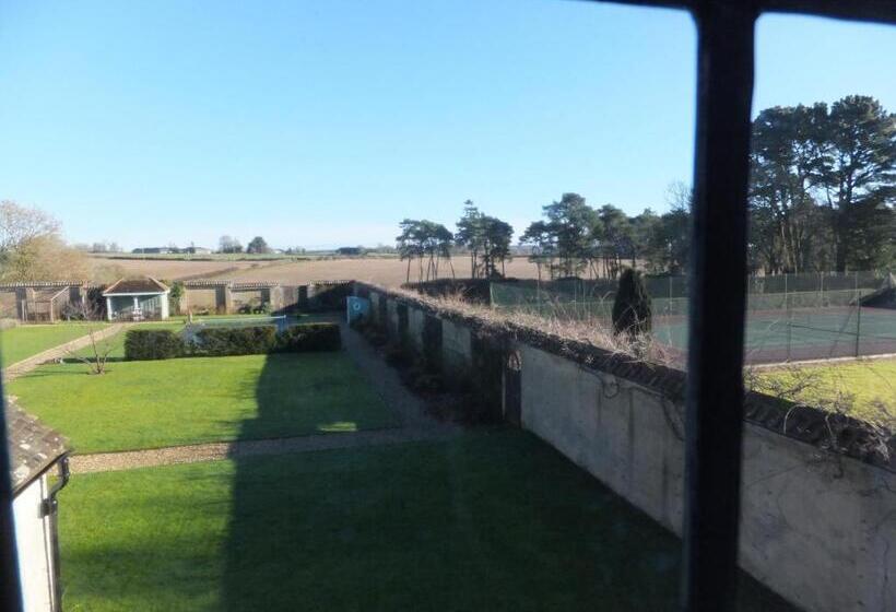 غرفة ديلوكس سرير كينج, Little Court