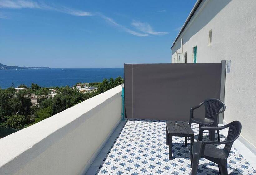 Standard Værelse, Riviera