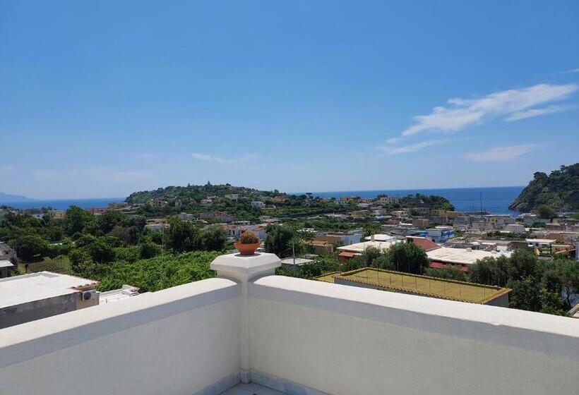 Номер Стандарт, Riviera