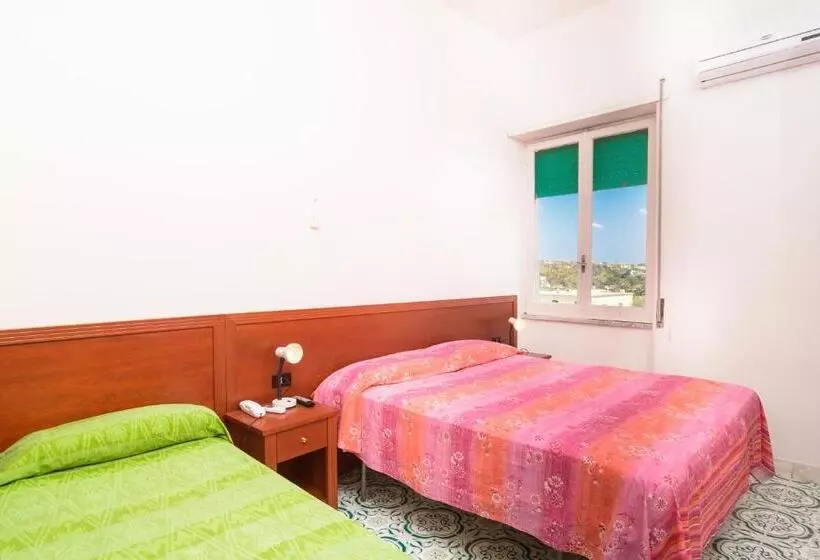 اتاق استاندارد چهار تخته, Riviera